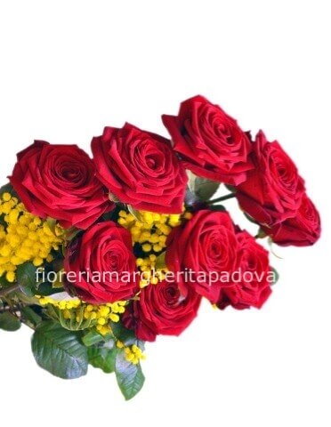 3 Rose rosse a stelo lungo cm 80/90 con mimosa e   verdi